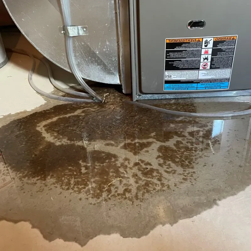 Pipe Burst and Leak Restoration in Buxton, ME