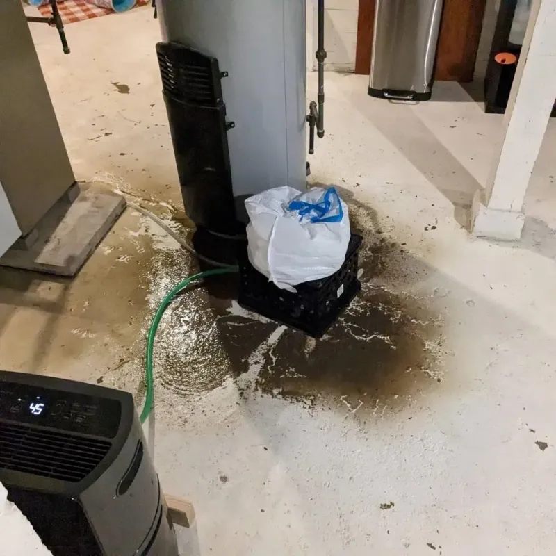 Sewage Backup Cleanup Service in Buxton, ME